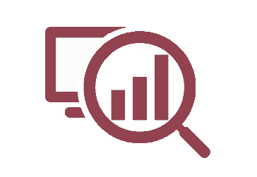 website audit