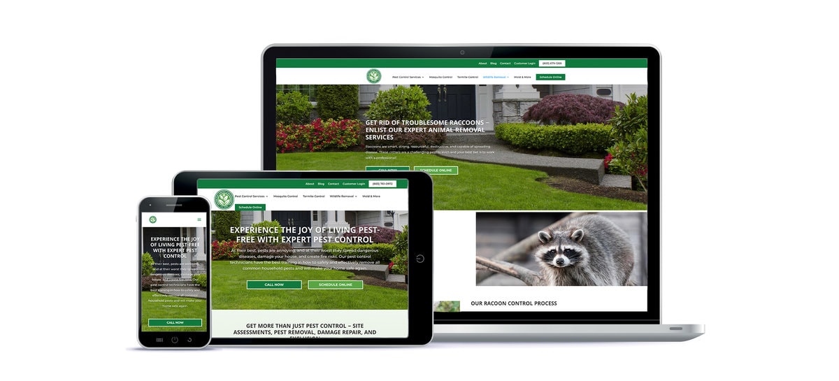 cramer-pest-control-and-environmental-responsive-website-design-example startup-concept-toy-rocket-takes-off-spewing-smoke-from-laptop-with-business-diagrams-graphics-white-background-3d-rendering