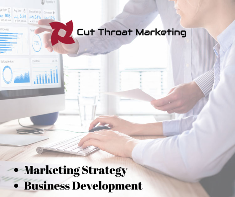 Cut Throat Marketing<br />
-Marketing Strategy<br />
-Business Development. with professional in front of a computer. 