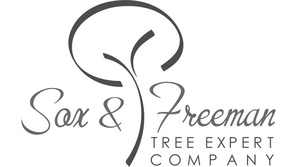 sox-and-freeman-tree-expert-arborist-columbia-sc
