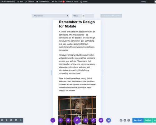 website-design-mobile-optimization-page-conversion emotional-appeal-in-marketing-business-